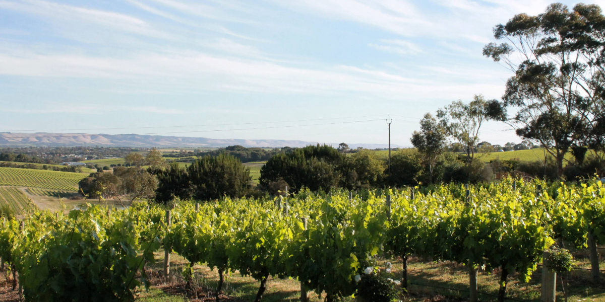 Beach Road Wines
